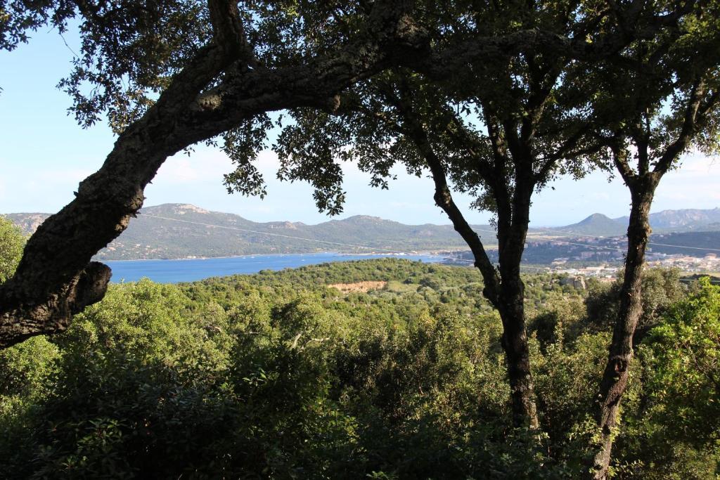 Hotel Les Hauts De Porto-Vecchio 객실 사진